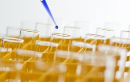 lab-test
